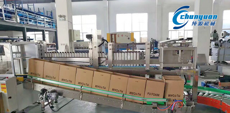 裝箱機，挑選裝箱機，純源裝箱機，純源機械